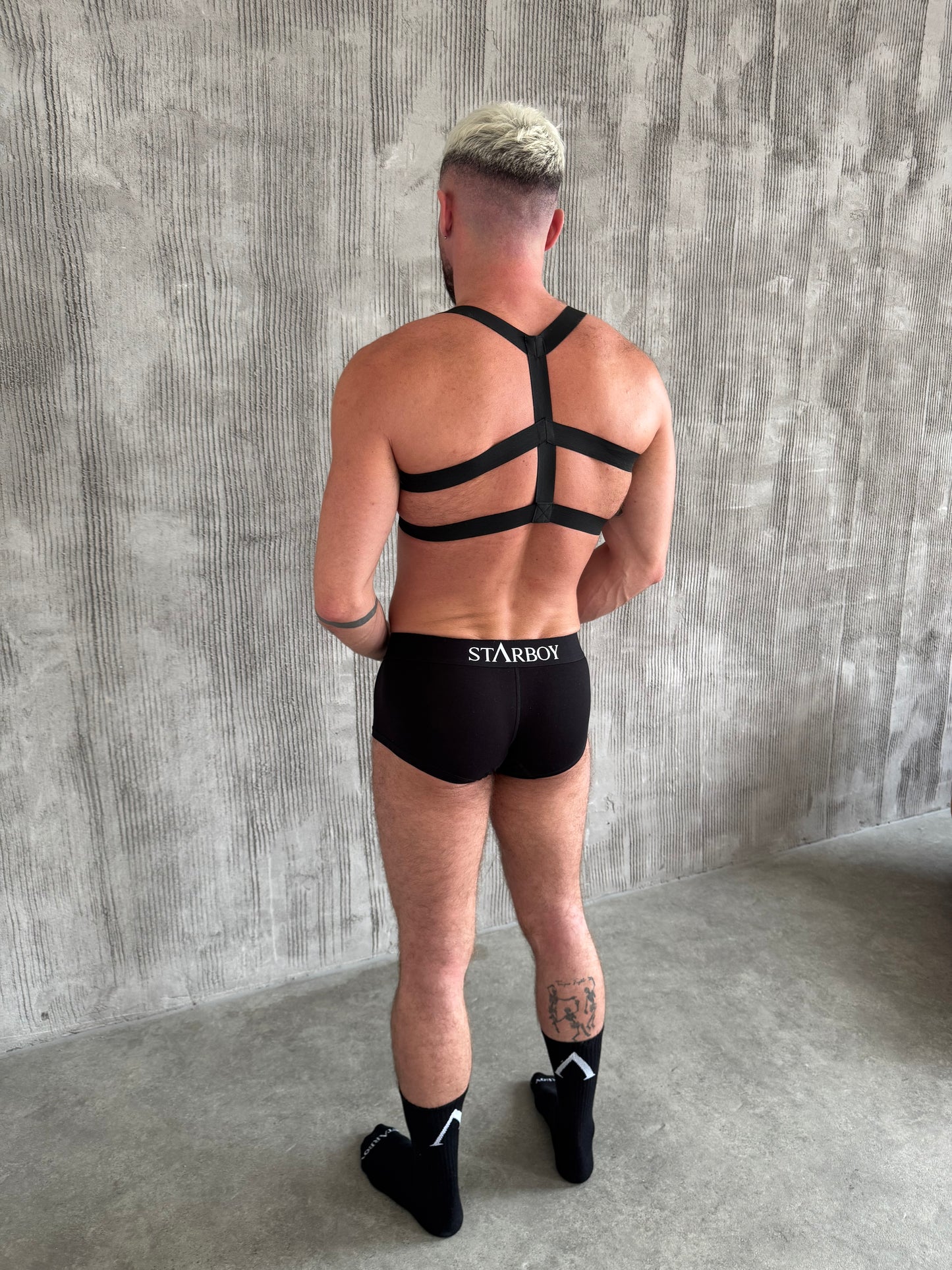 Black TITAN Harness